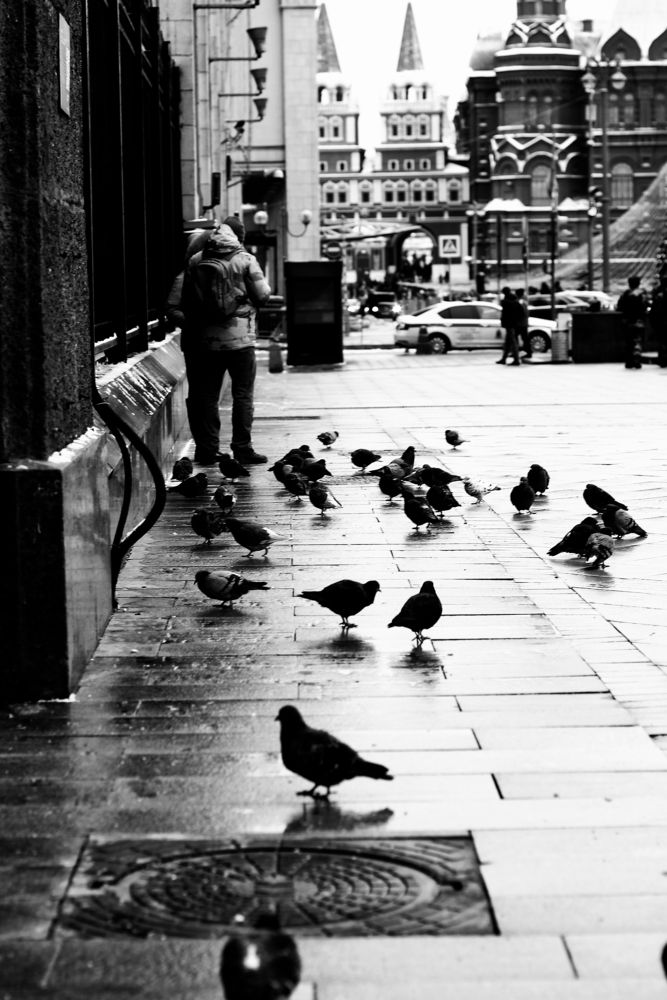 Photograph by Татьяна Абрамова