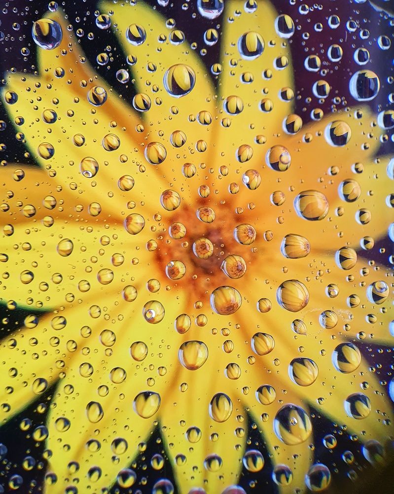 Photograph by Татьяна Мельникова