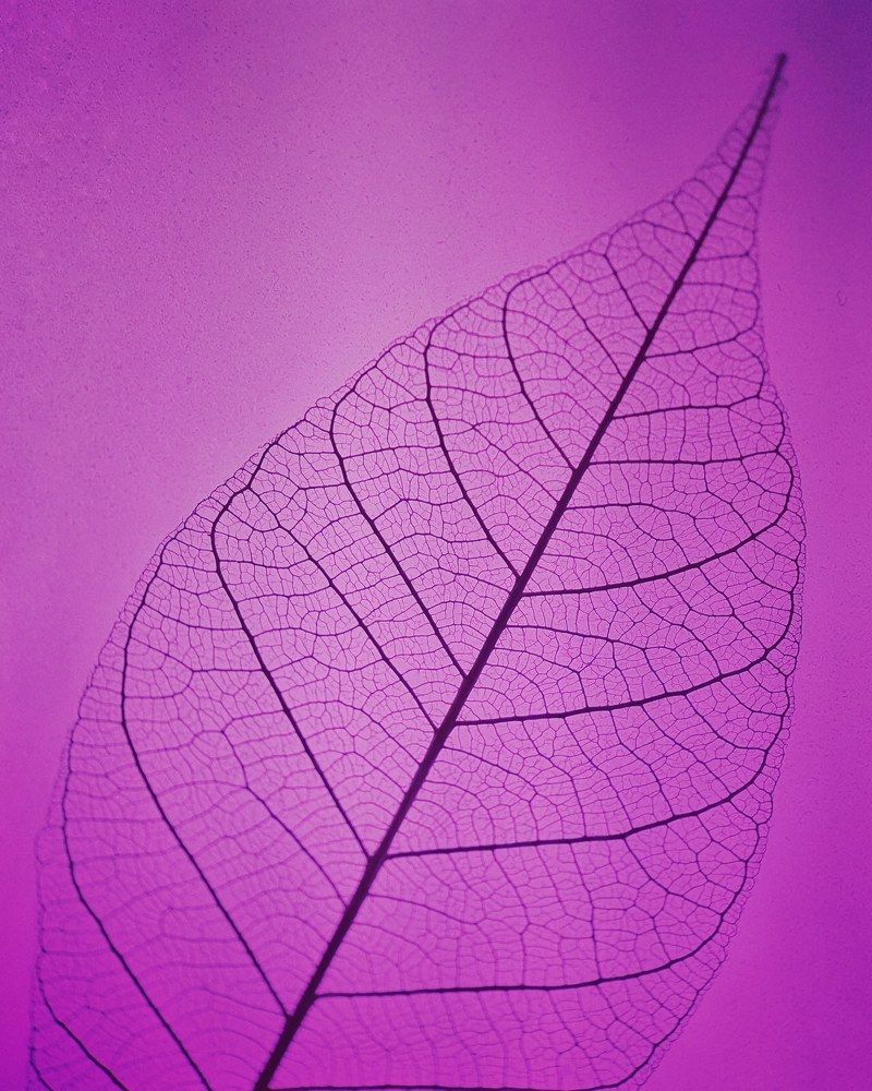 Photograph by Татьяна Мельникова