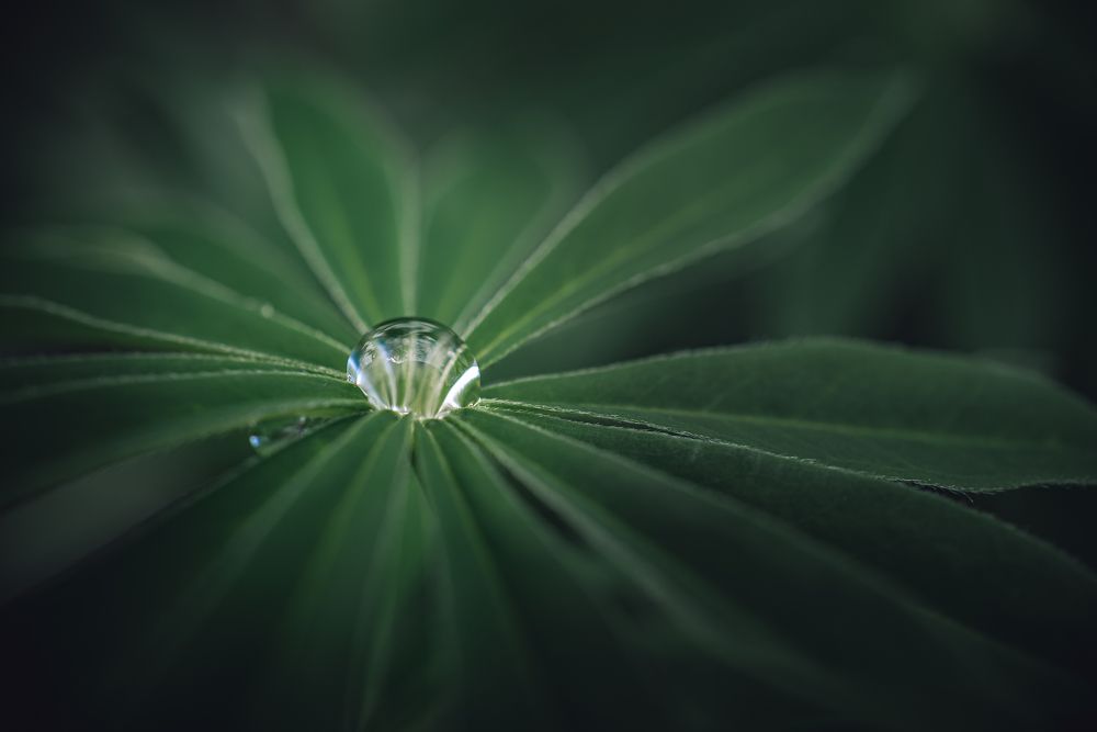 Photograph by Александр