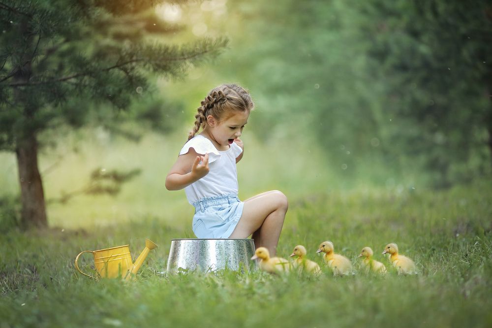 Утиные истории