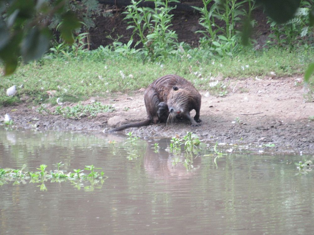 Photograph by Willian Izzi