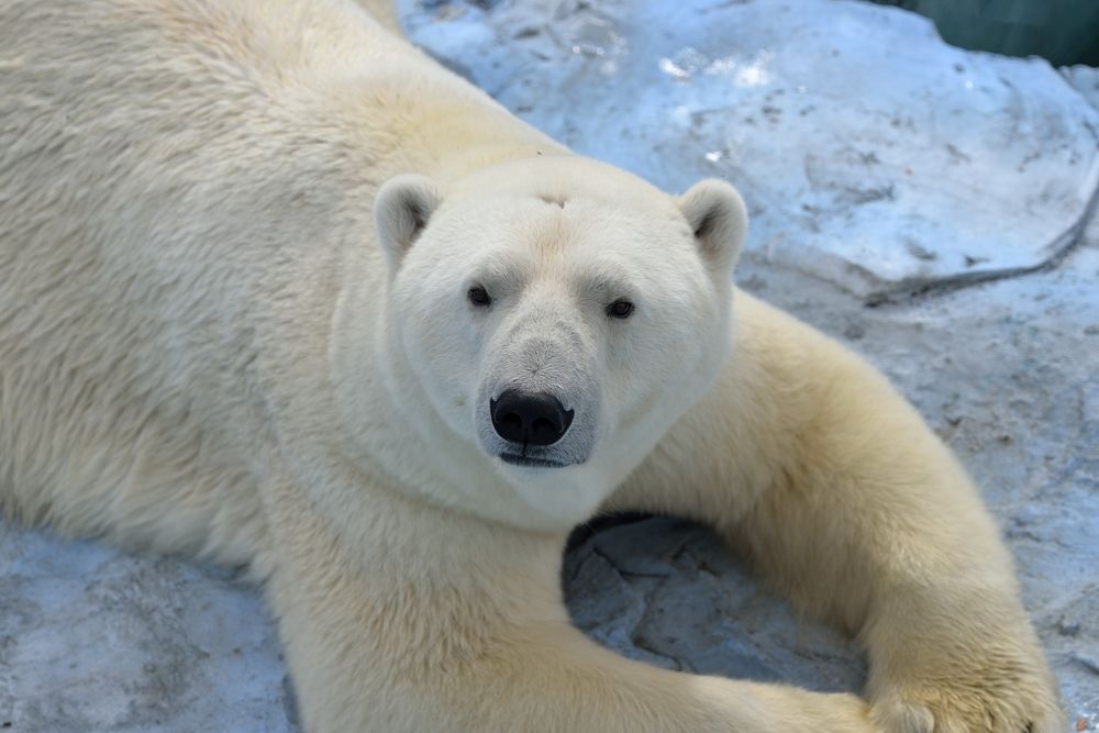 Photograph by Сергей Чесноков