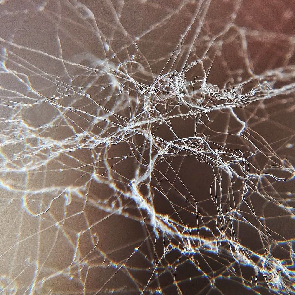 Photograph by Ольга Дорошенко