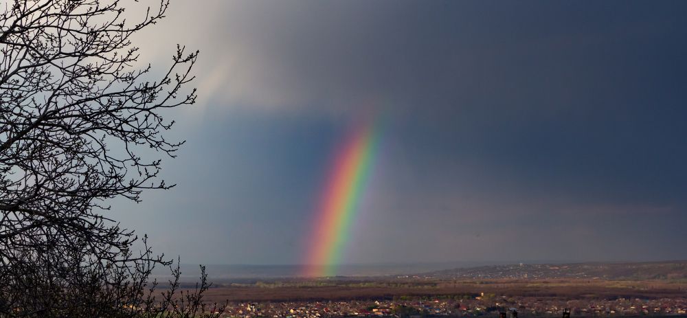 Кусочек весенней радуги