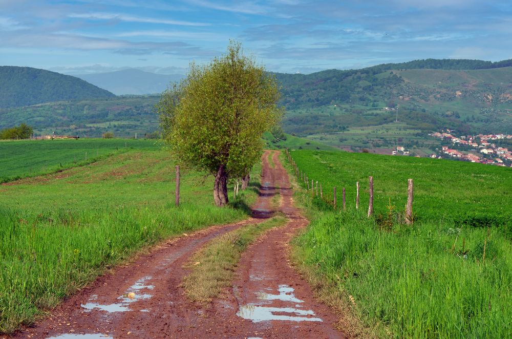 Фотография автора Stefan Alfred