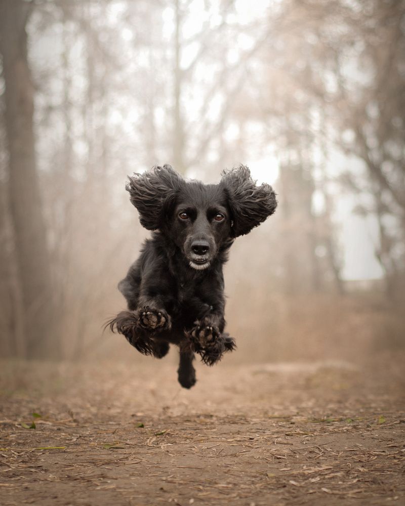 Photograph by Maryna