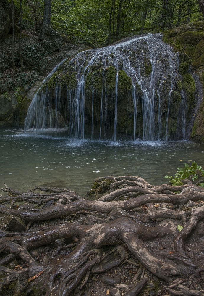 Фотография автора Екатерина Дегтярева