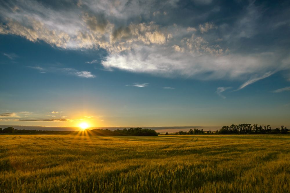 Пензенские просторы