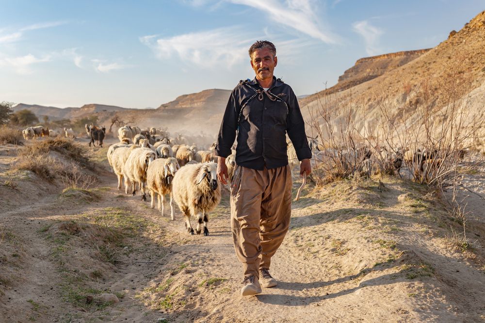 Фотография автора Ebrahim Rahiminezhad