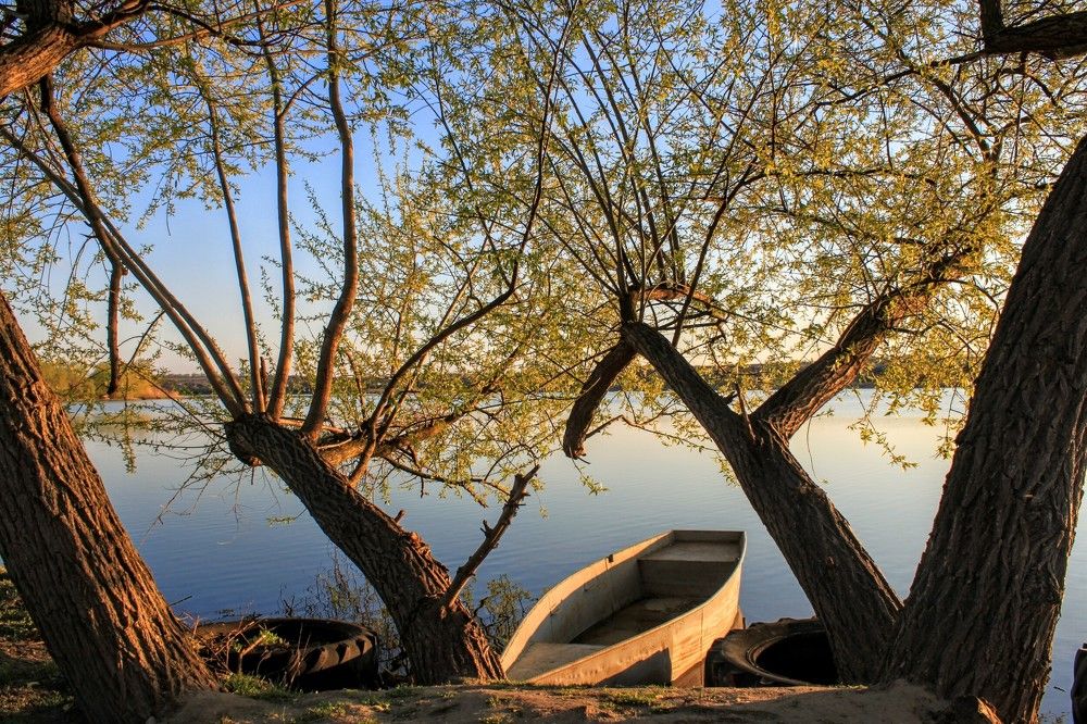 Photograph by Денис Лащ