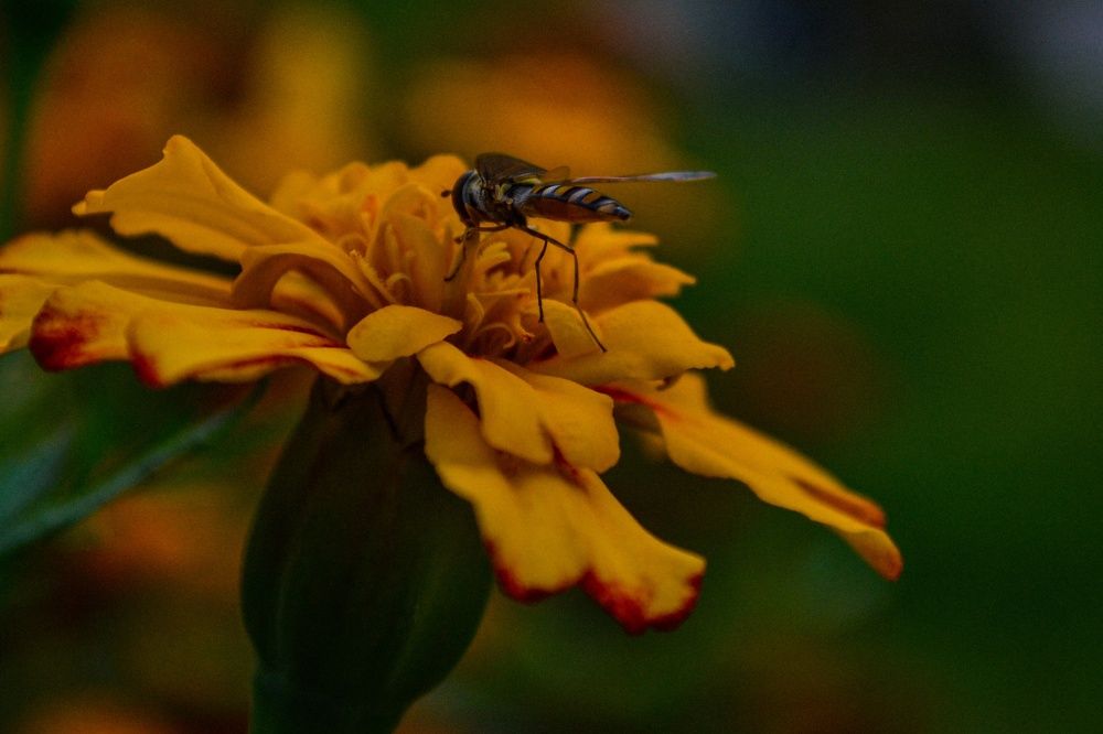 Photograph by Дарья Маркина