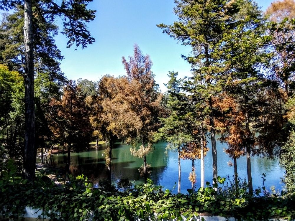 Photograph by José Luis Mendoza Machado