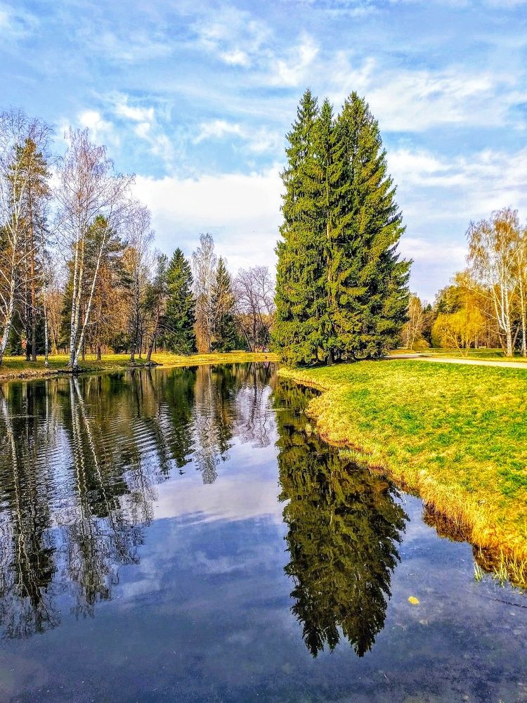 Photograph by Светлана Попова