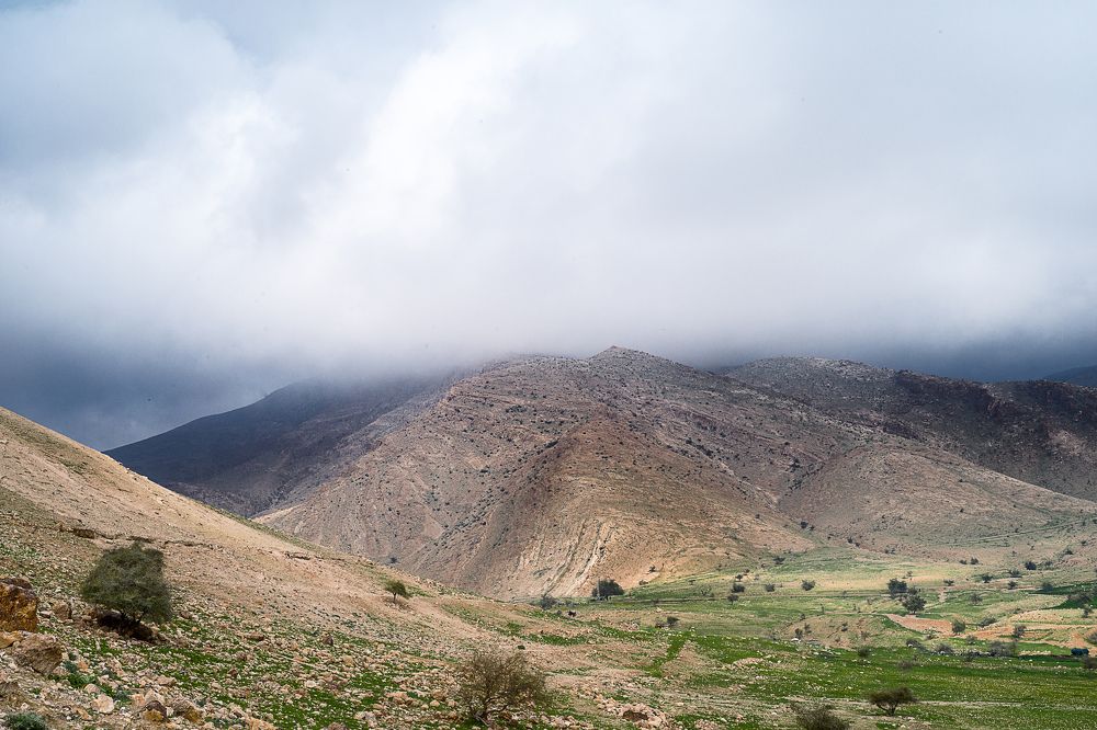 Wadi Al-Auja / Вади Аль-Ауджа