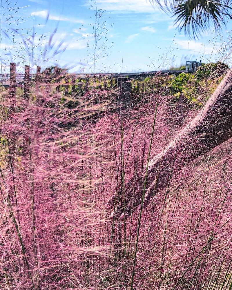 Photograph by Anastasiia Eliseeva