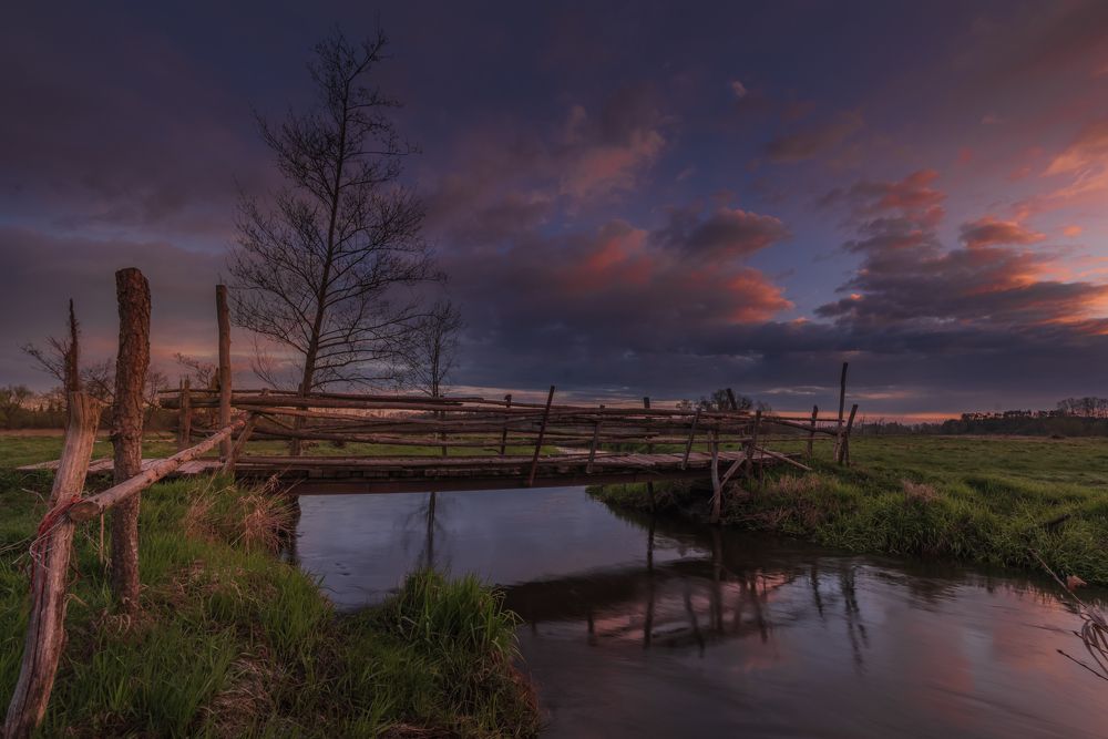 Photograph by Dariusz Budyta