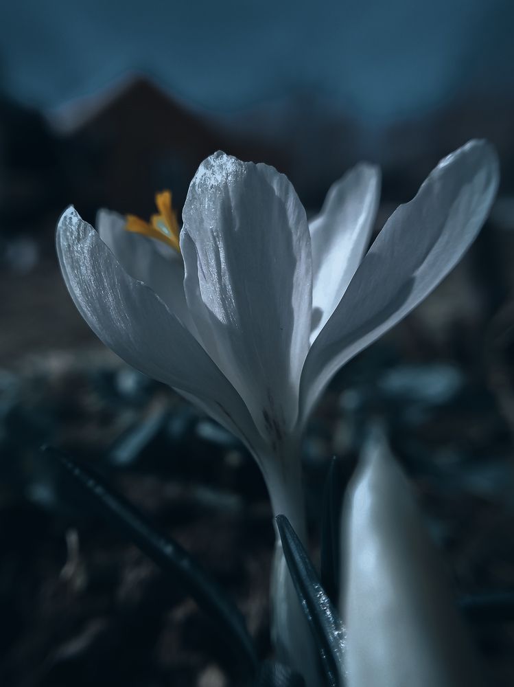 Photograph by Наташа Черепенина