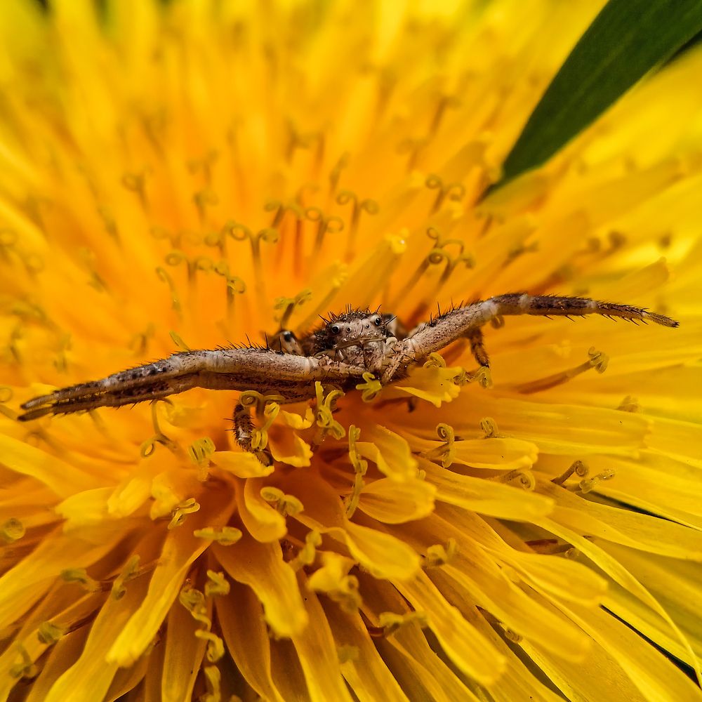 Дайте я вас обниму!