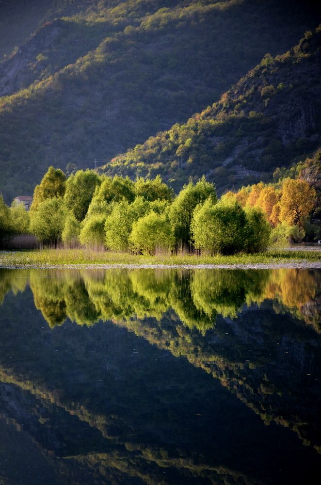 Фотография автора Jadranka Mamić