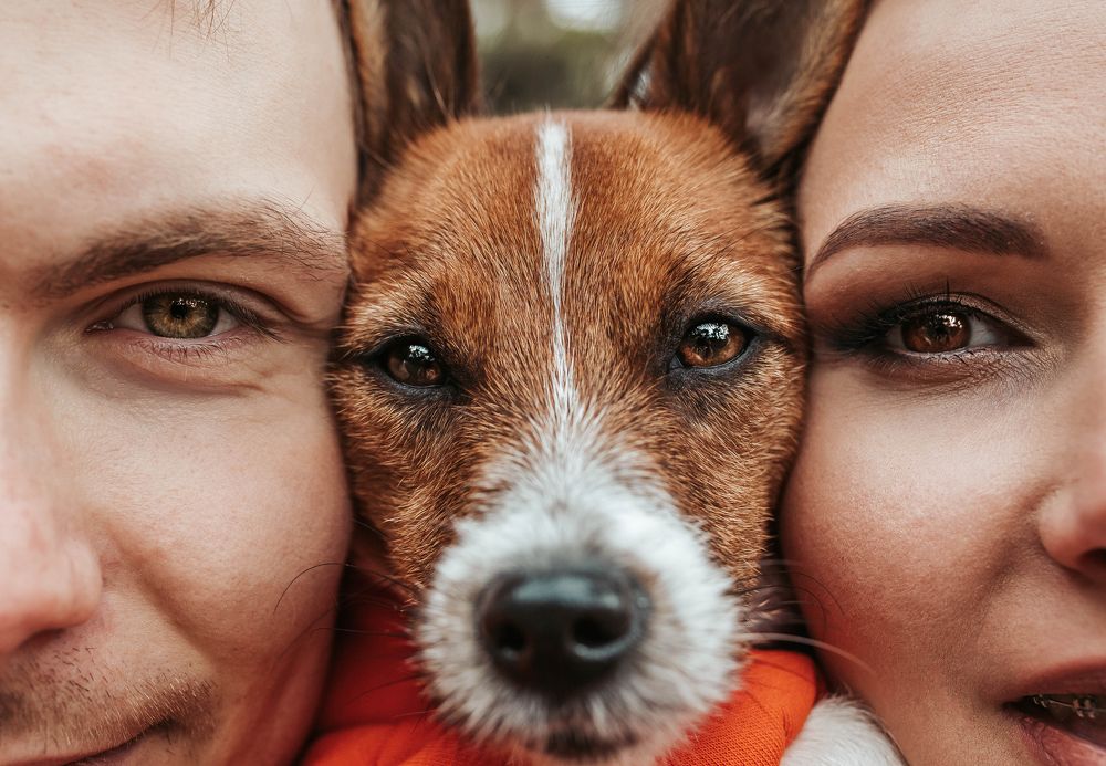 Photograph by Марина Колобанова