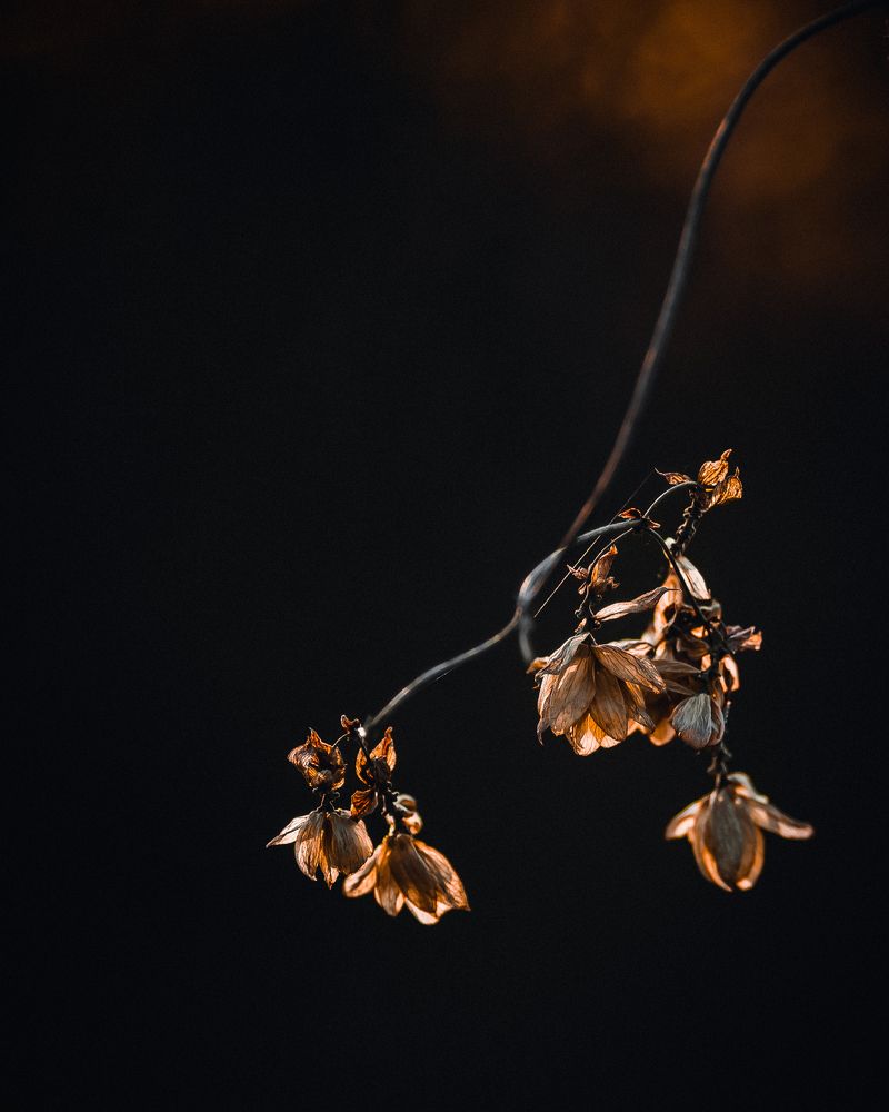 In light