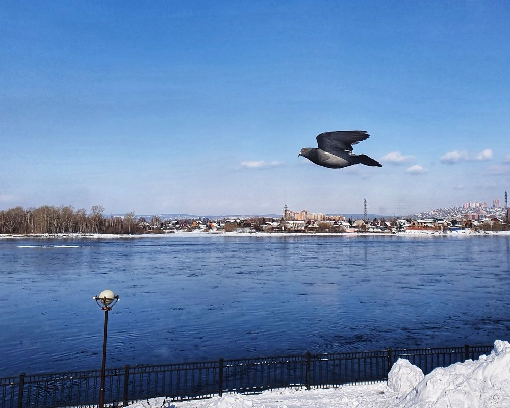 Photograph by Татьяна Мельникова