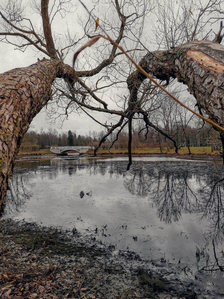 Photograph by Светлана Морева