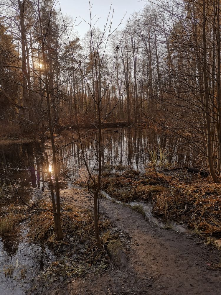 Photograph by Светлана Морева