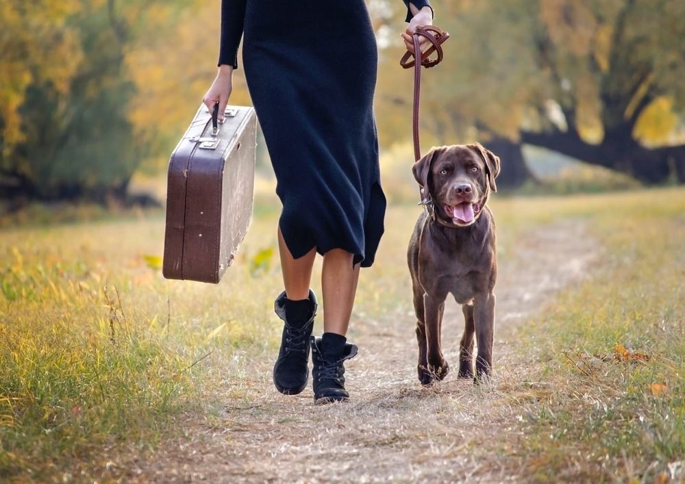 Photograph by Елена Макарова