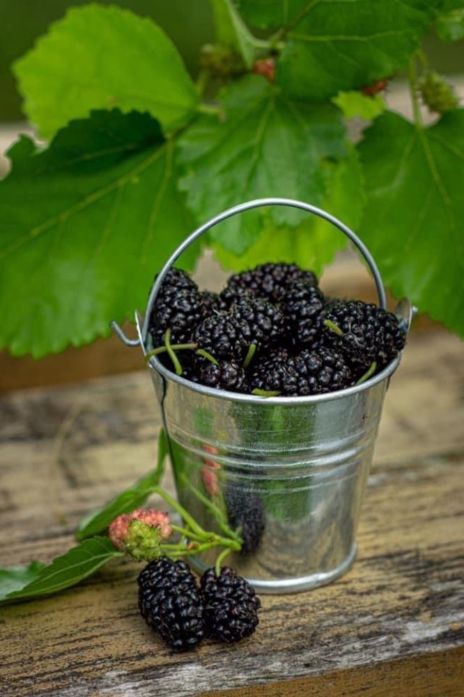 Photograph by Константин Чимбай