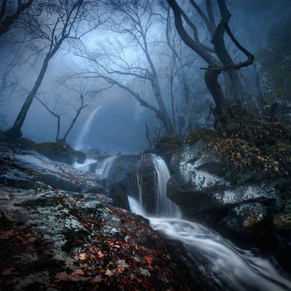 A Late November Day, Boyana waterfall, Bulgaria