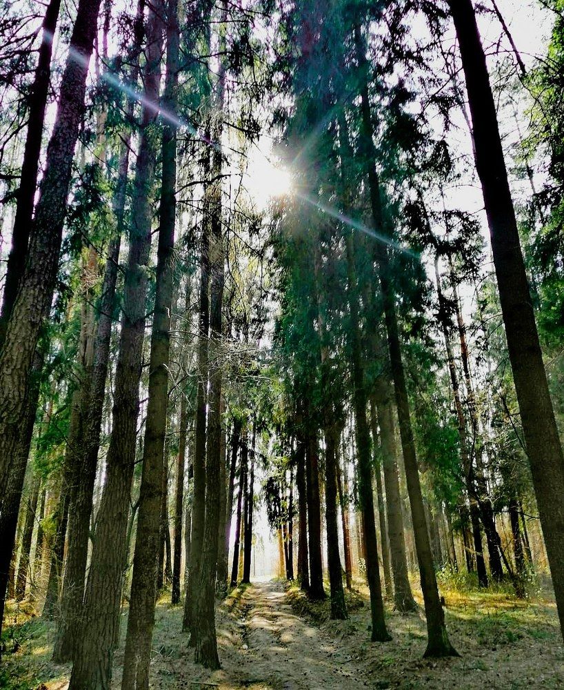 Photograph by Михаил Бородкин