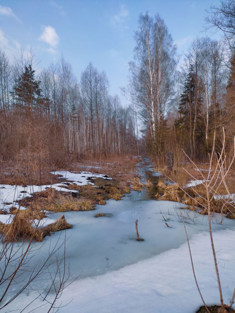 Photograph by Михаил Бородкин