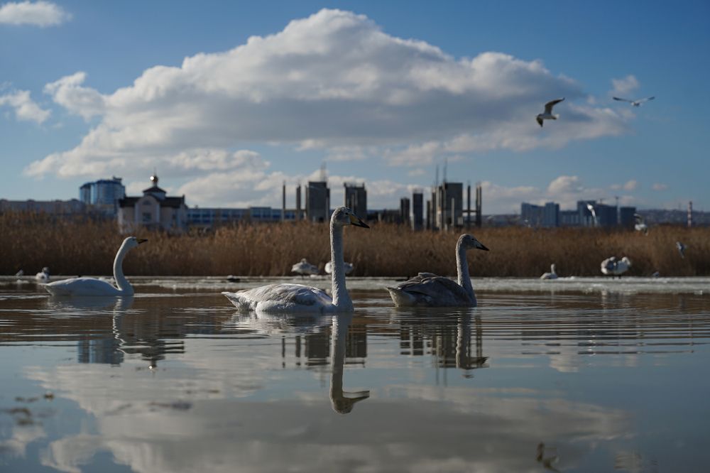 Фотография автора Наталия Гриболева