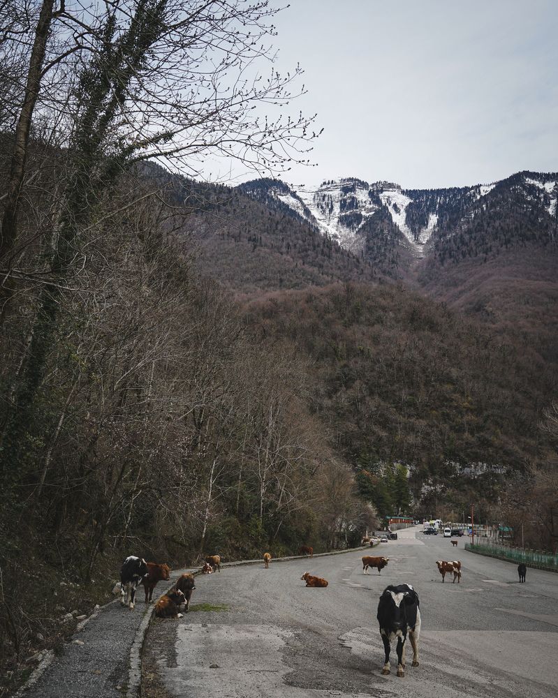 Фотография автора Наталия Гриболева