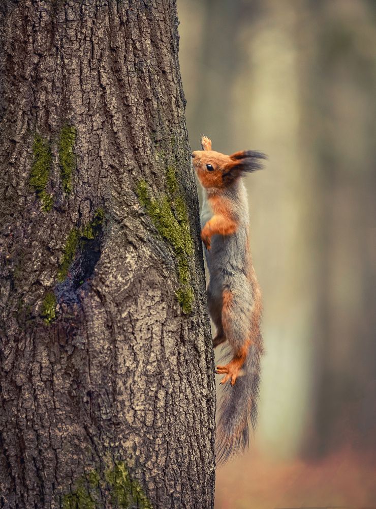 Photograph by Сергей Здерев