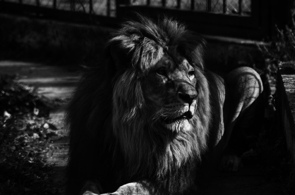 Фотография автора Stefan Alfred