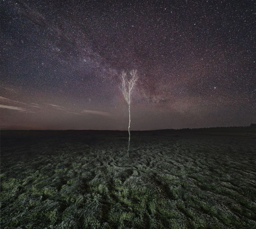 Фотография автора Максим