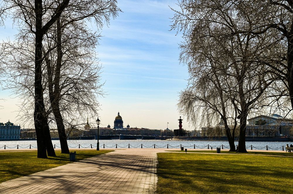 Фотография автора Ирина Копылова