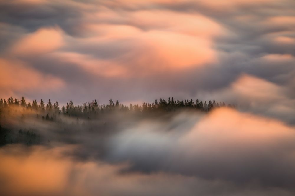 The melody of the mountains