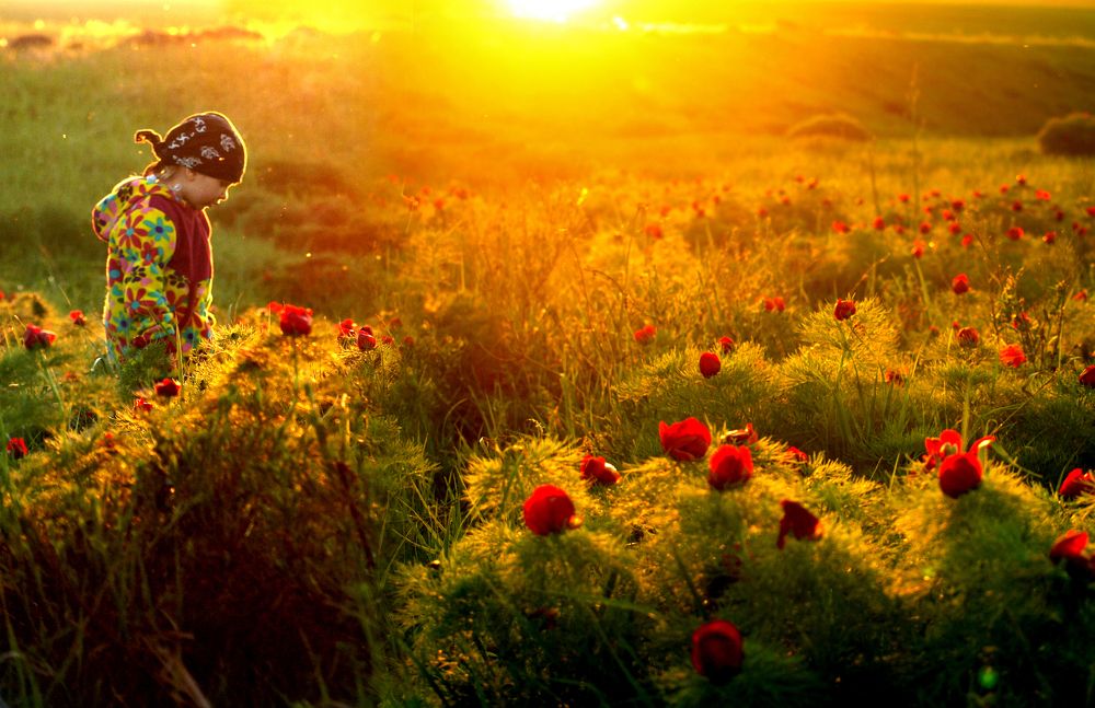 Photograph by Сергей Юрьев