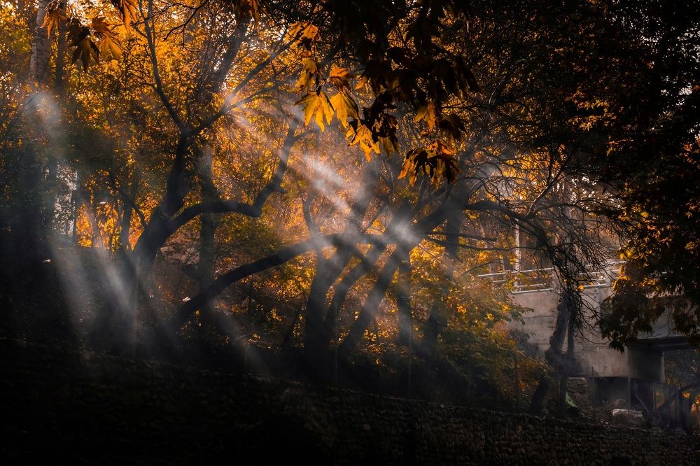 Photograph by Behnam Bahredar