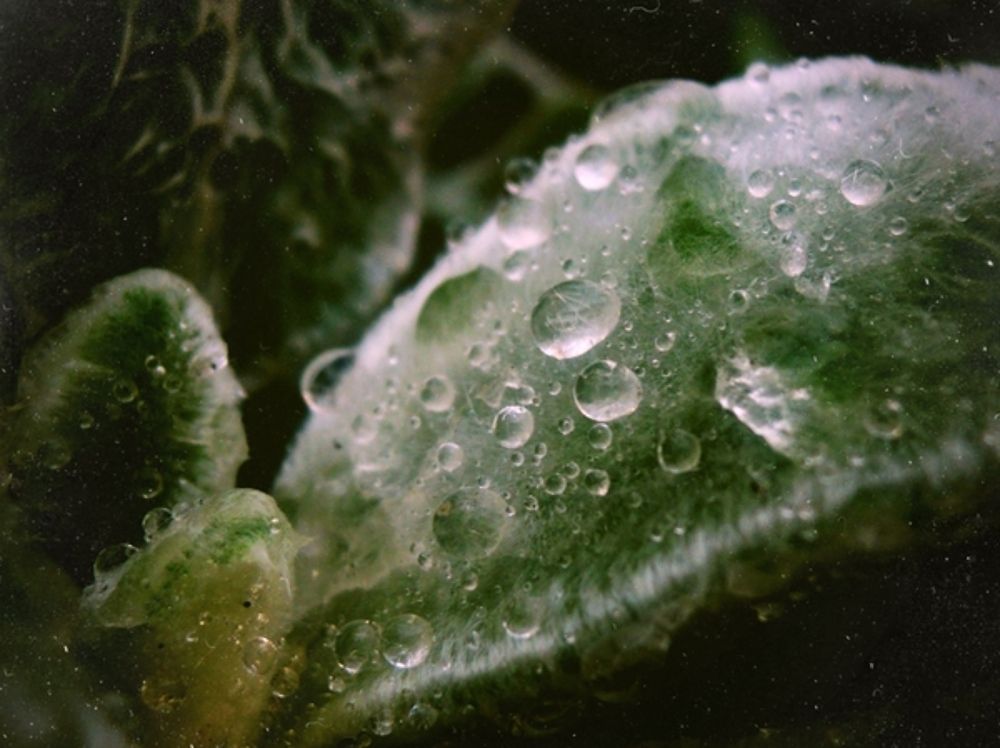 Photograph by Анастасия Моисеева