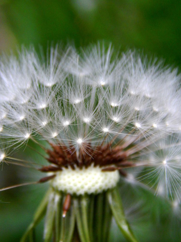 Photograph by Анастасия Моисеева