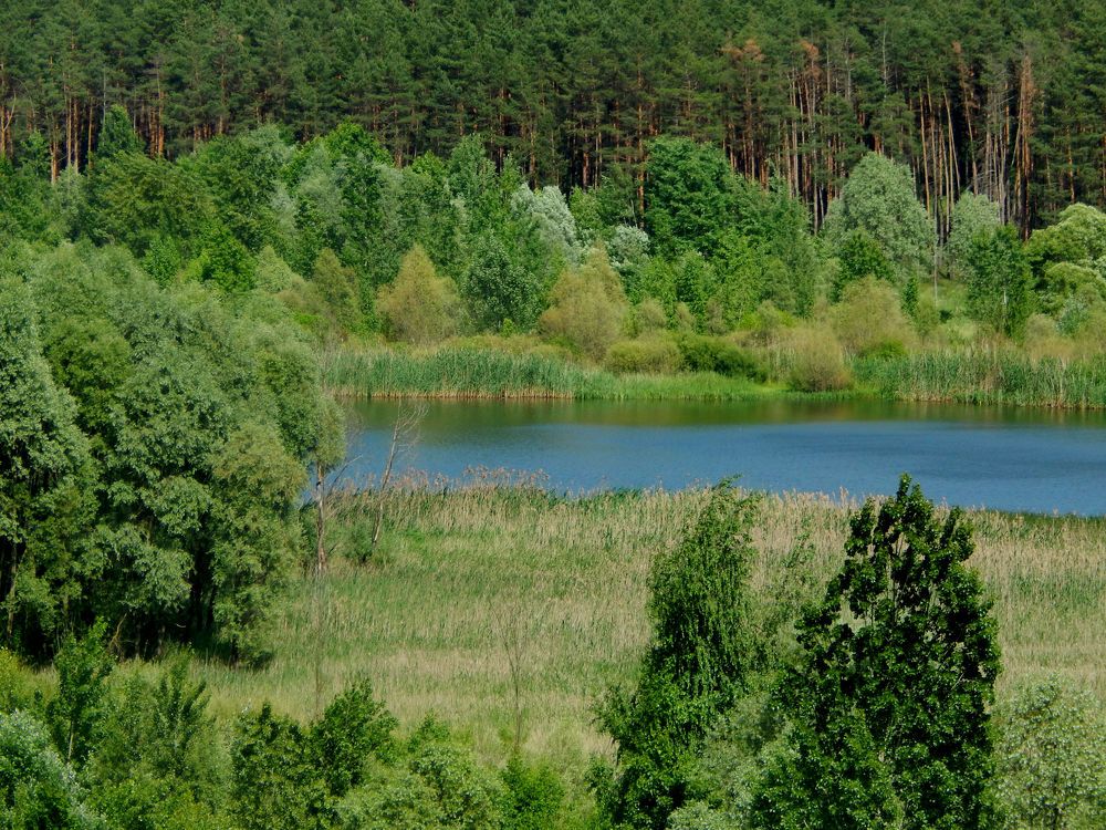 Photograph by Анастасия Моисеева