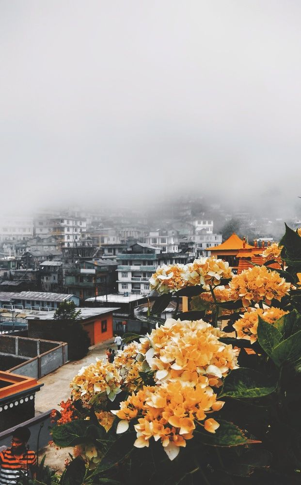 Photograph by pradiptamoy paul