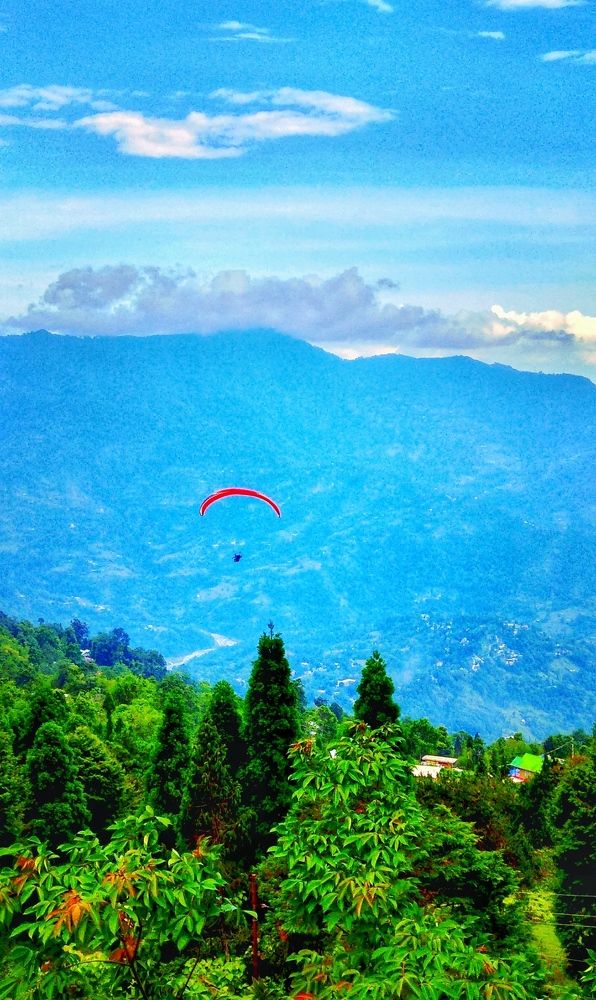 Photograph by pradiptamoy paul