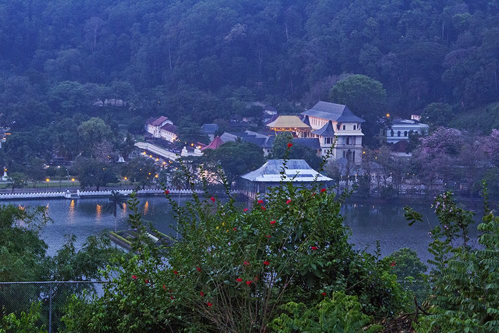 Photograph by Shreeharan Rajasingham