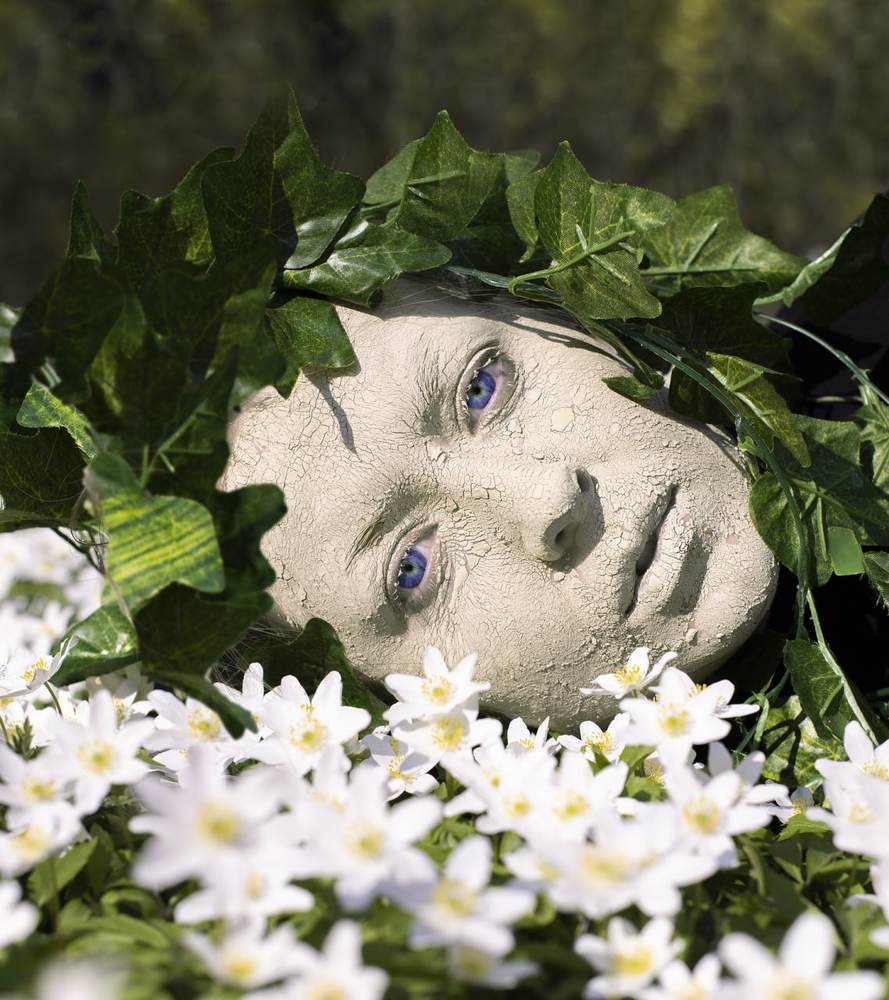 Подснежник